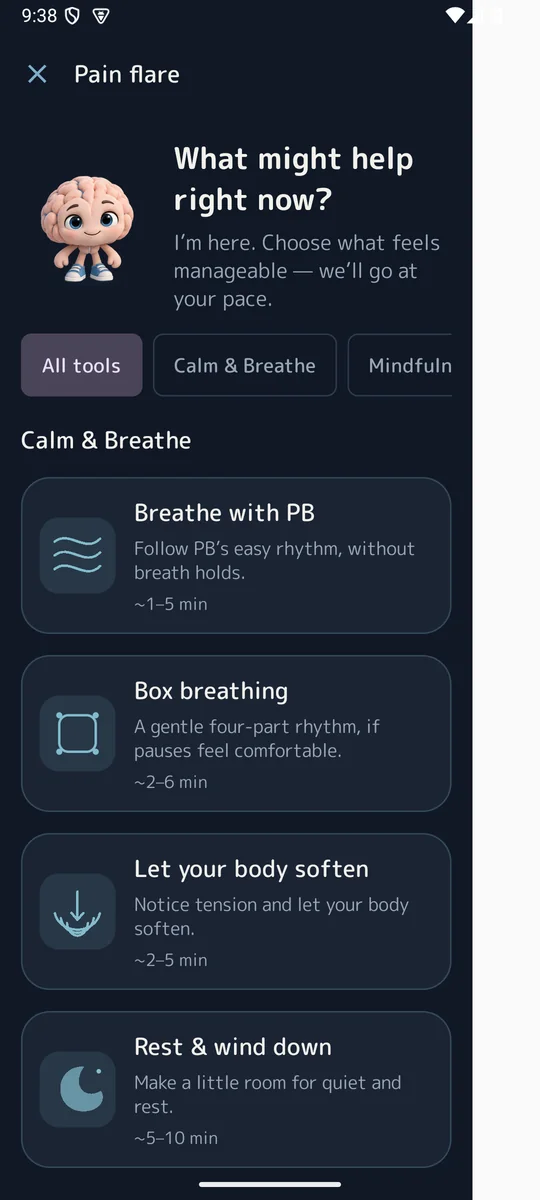 The Pain Flare toolkit in the actual development app, showing Breathe with PB, body softening and rest options.